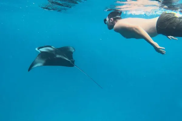 Manta Encounter
