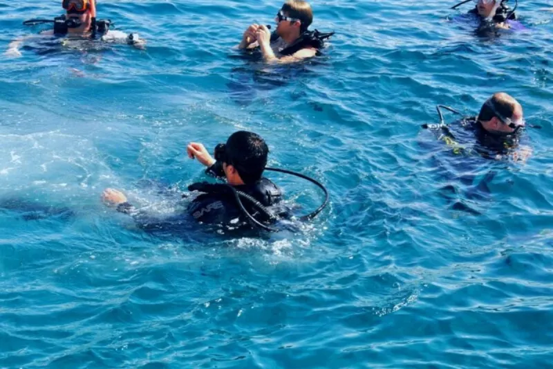 Diving