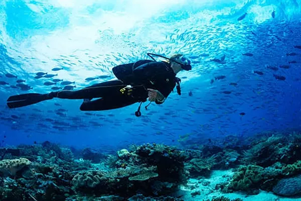 Diving: Discover the Magic beneath the Waves