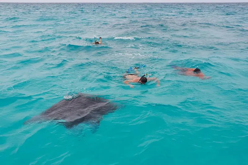 Swim with Manta Rays