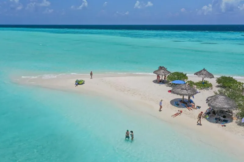 Visit to a Picnic Island