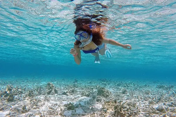 Afternoon Snorkeling Trip