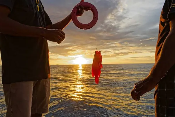 Sunset Fishing Adventure