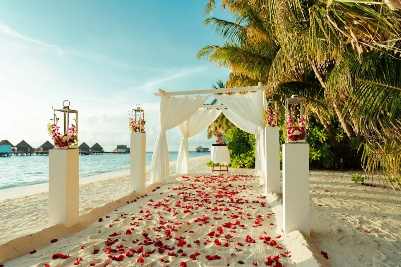Wedding Ceremony
