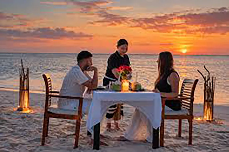 Romantic Beach Dinner