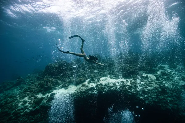 Coral Reef Snorkeling