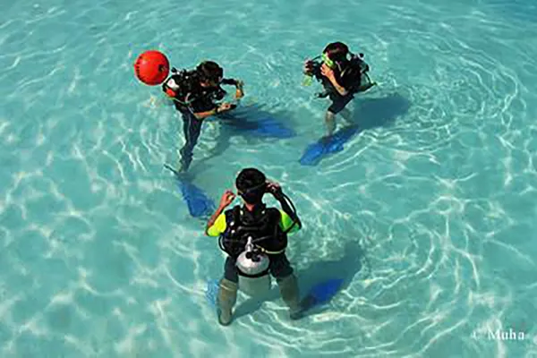 Swimming Lesson
