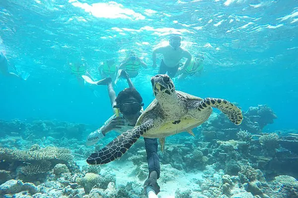 2 Point Snorkeling with Turtle & Outside Housereef