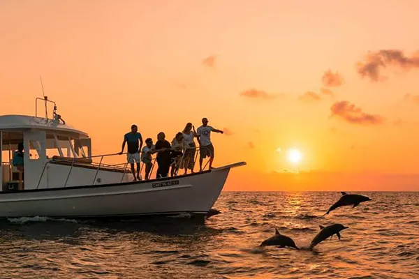 Sunrise Dolphin Watching Trip