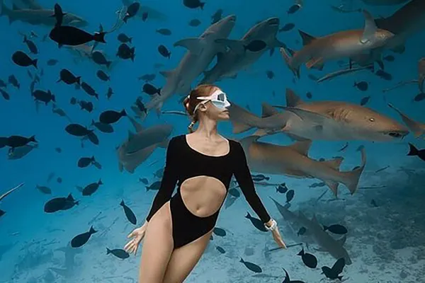 Snorkeling Tours