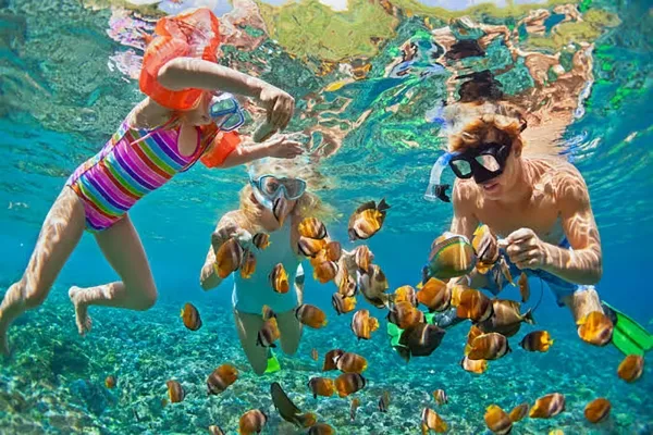 House Reef Snorkeling