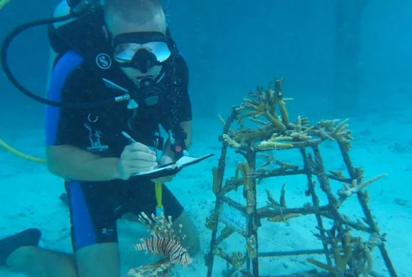Marine Biologist