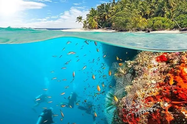 Snorkeling: Dive into Colourful Reefs