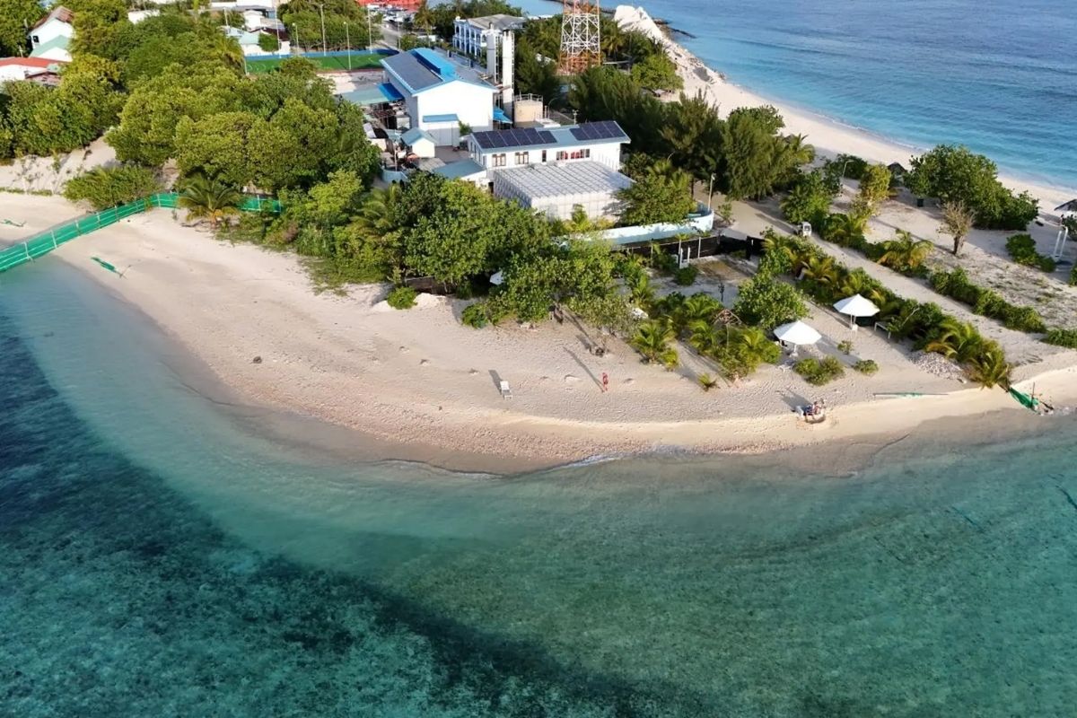 OceanVine Hotel, Adh. Mahibadhoo