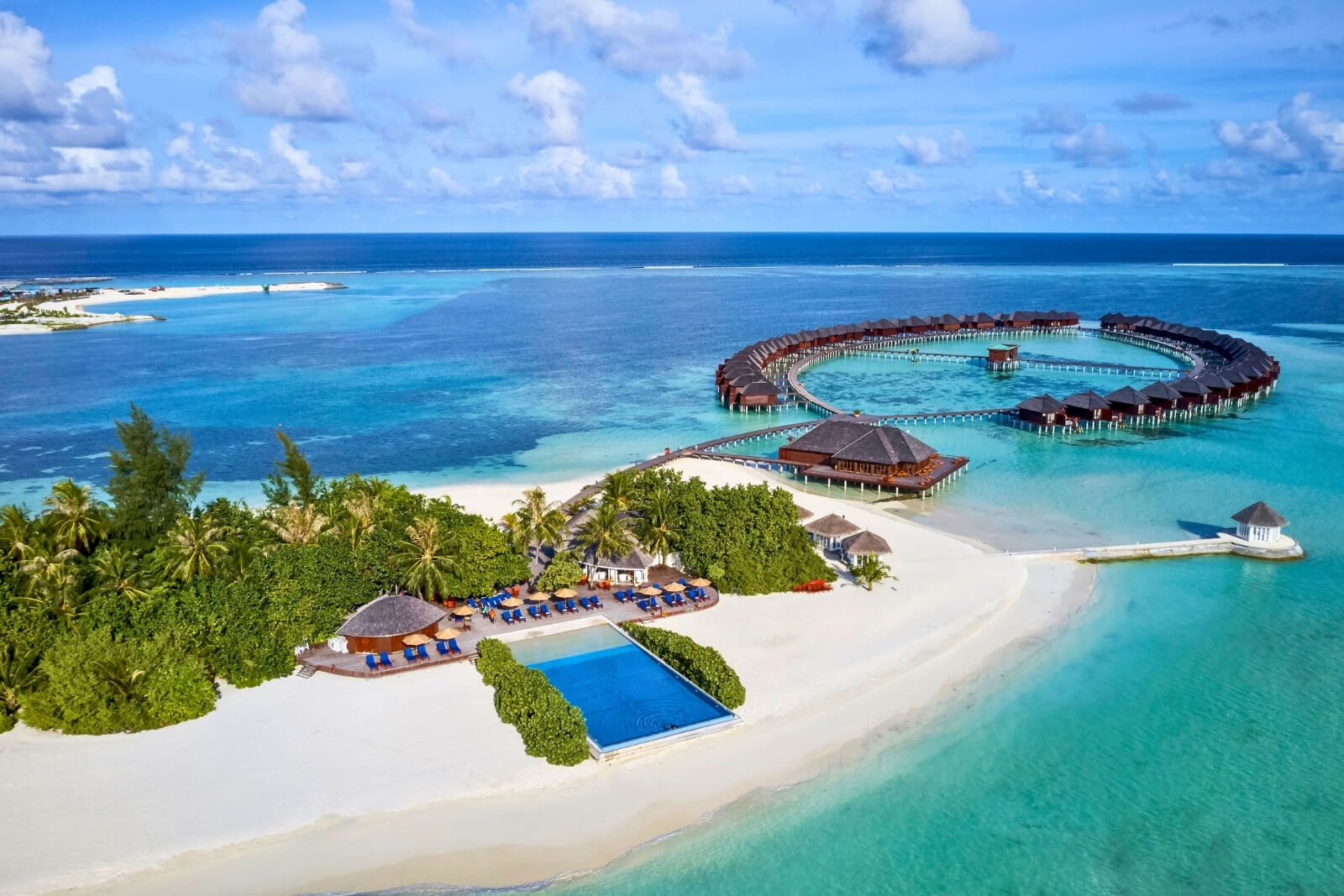 Celebrate Your Day In Paradise