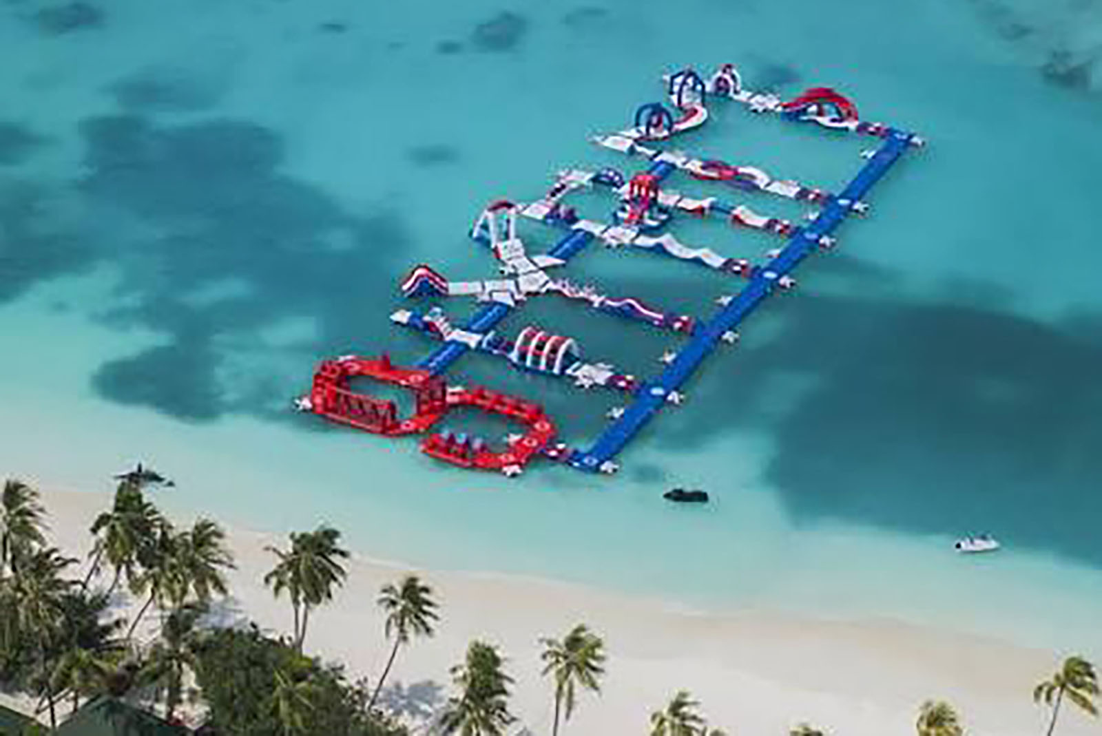 Celebrate Your Day In Paradise