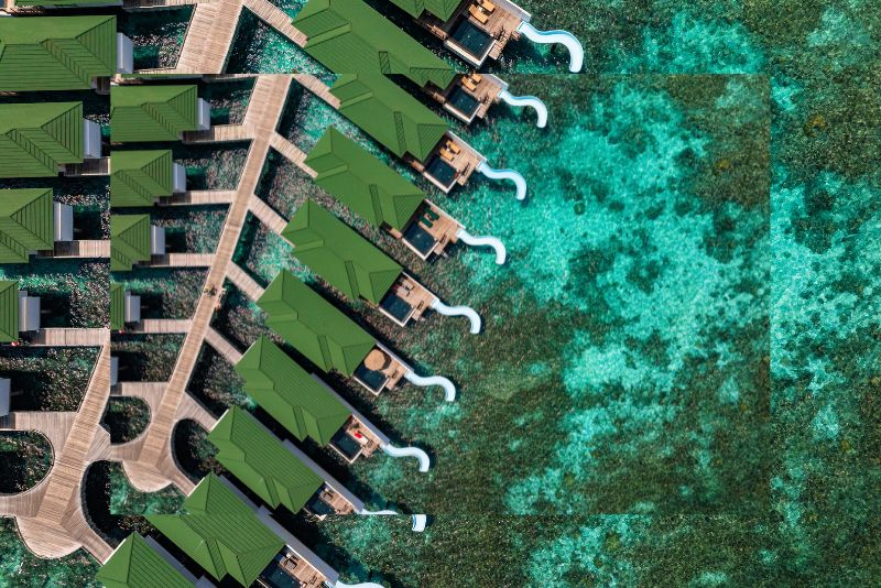 Celebrate Your Day In Paradise