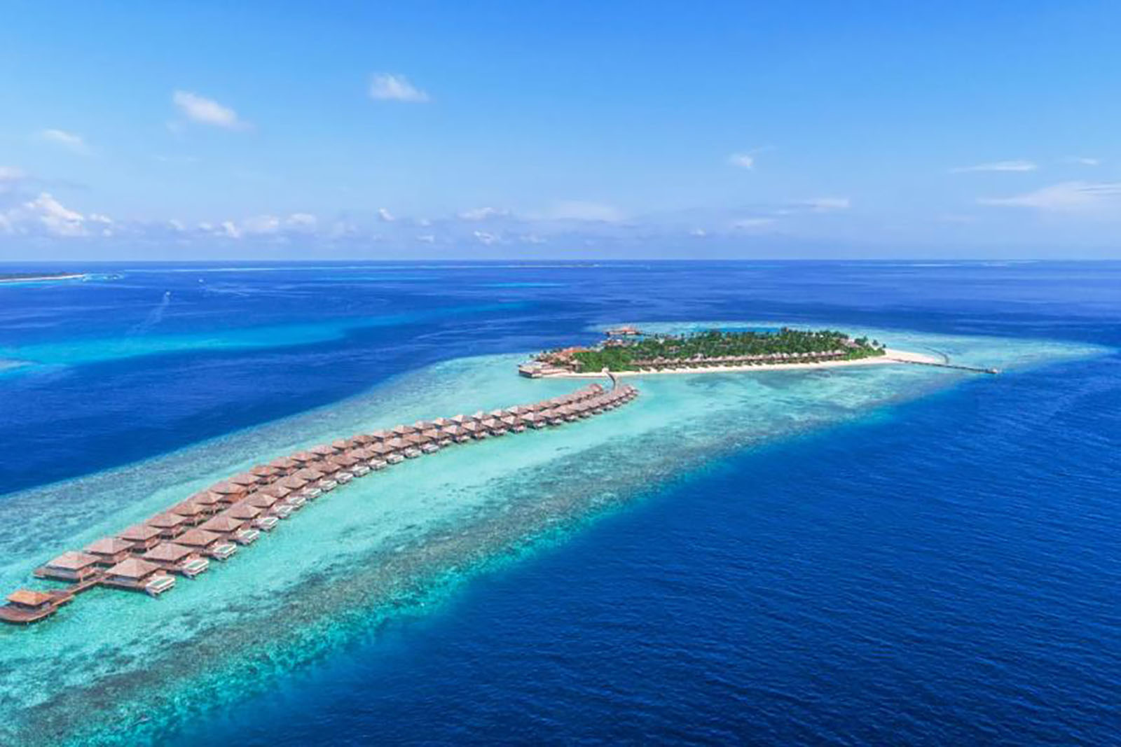 A Paradise Offer Just For You