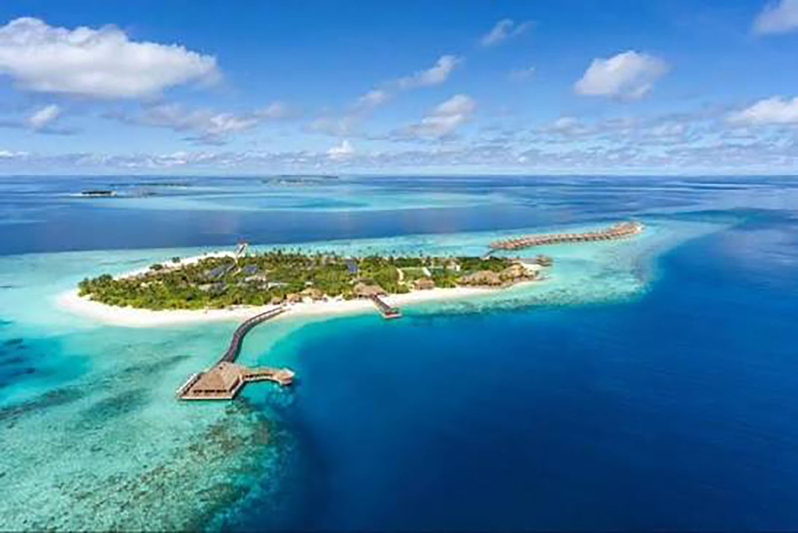 Exclusive Island Savings