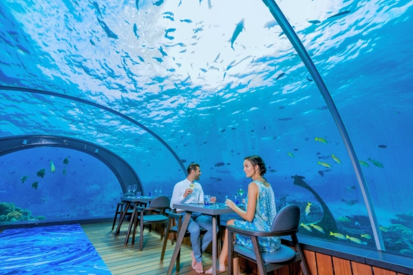 5.8 Undersea Restaurant - Hurawalhi Island Resort