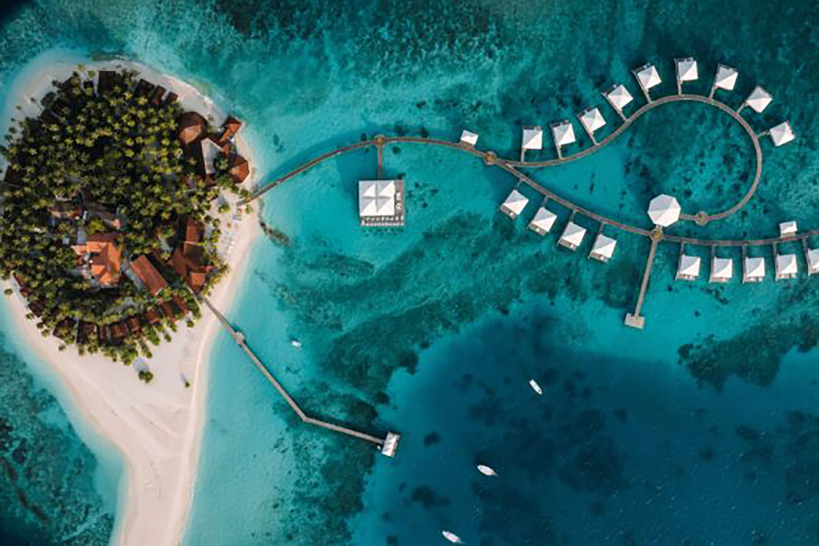 Newlyweds In Paradise