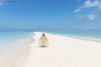 Sandbank Excursions