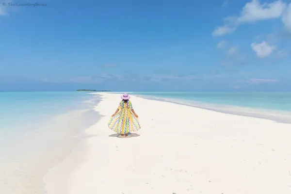 Sandbank Excursions