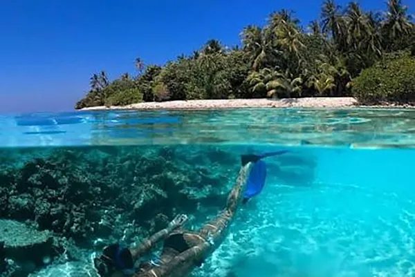 Thinadhoo House Reef