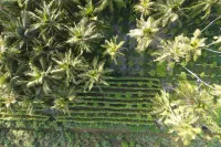 Agriculture & farms