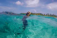 Diving and Watersports