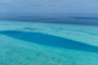 Shallow Lagoon