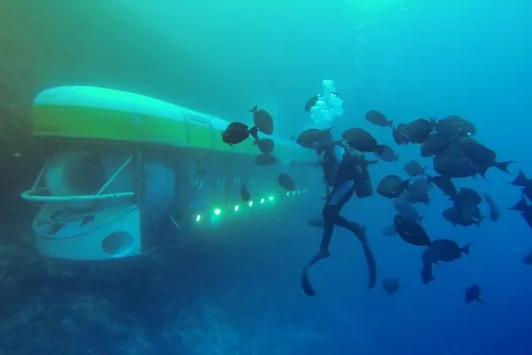 Whale Submarine Tour 