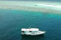 Dolphin Channel & Sandbank Cruises