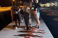 Exhilarating fishing adventures