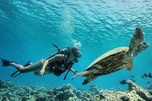 Maalhos House Reef
