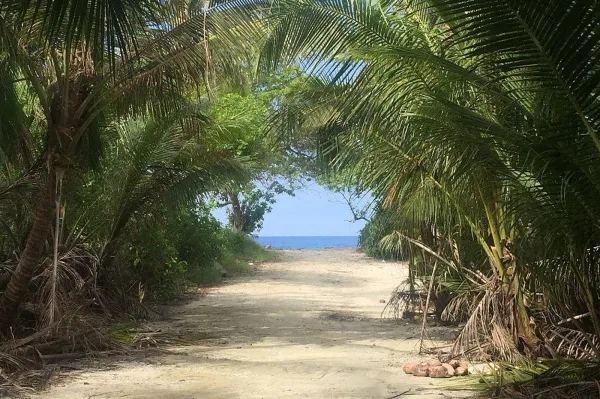 Goidhoo Local Village