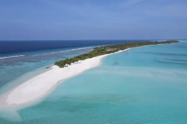 Sandbank and Lagoon Excursions