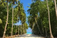 Fulhadhoo Local Village