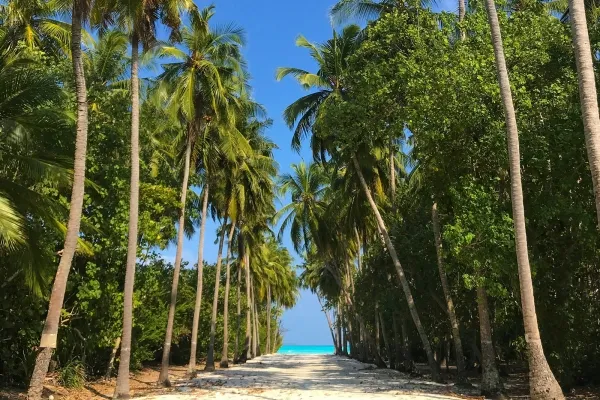 Fulhadhoo Local Village