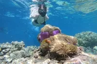 Dhiffushi House Reef & Snorkeling