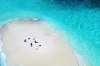 Dhiffushi Sandbank