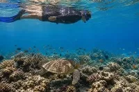 Guraidhoo Coral Reefs & Snorkeling
