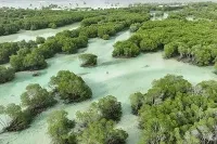 Huraa Mangrove — Kandoofaa