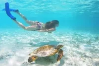 Huraa House Reef & Turtle Snorkelling
