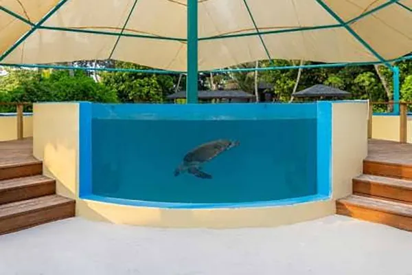 Sea Turtle Health Centre